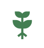 Icon PHTL